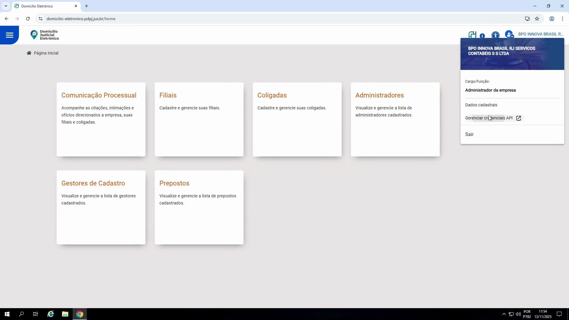 Menu de Gerenciamento de Credenciais de API